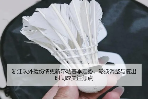 浙江队外援伤情更新牵动赛季走势，轮换调整与复出时间成关注焦点